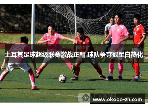 土耳其足球超级联赛激战正酣 球队争夺冠军白热化