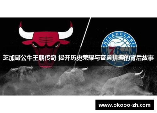 芝加哥公牛王朝传奇 揭开历史荣耀与奋勇拼搏的背后故事